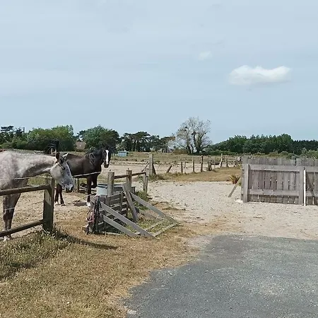 Le Gite De La Ferme Portbail Esterno foto