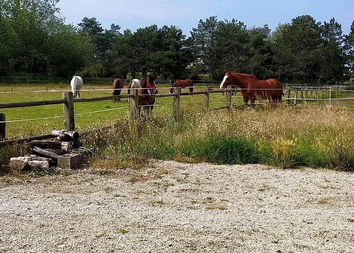 Le Gite De La Ferme
