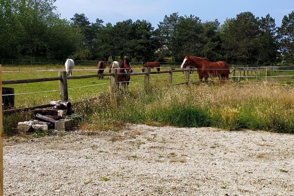 Holiday home Le De La Ferme