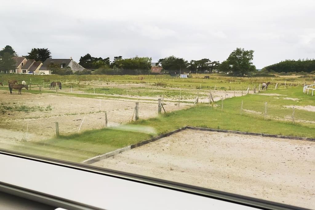 Le De La Ferme