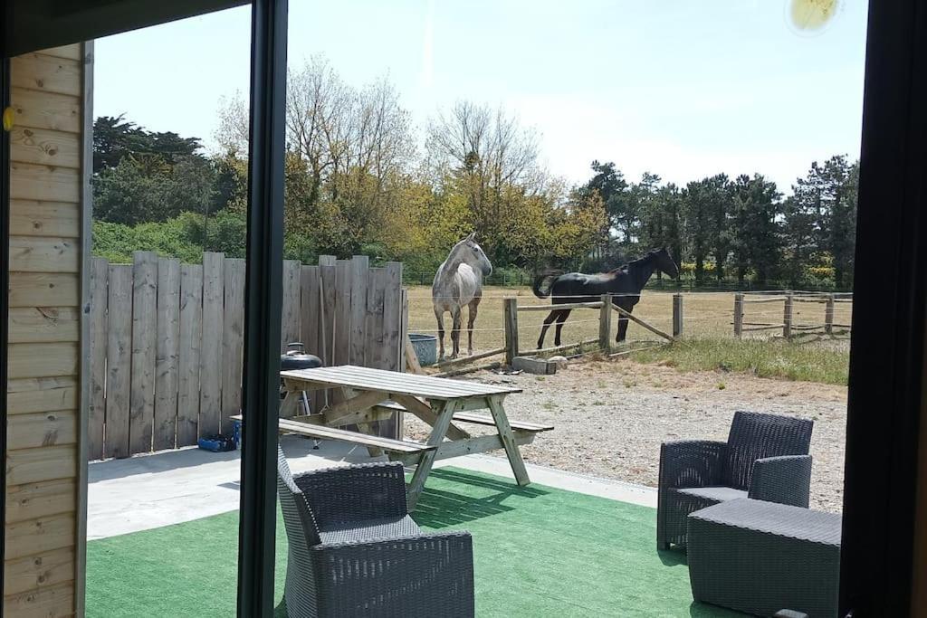 Le De La Ferme Casa vacanze *